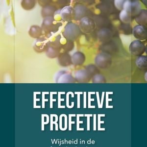 Effectieve Profetie